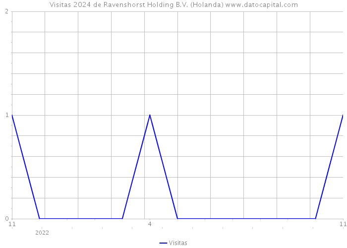 Visitas 2024 de Ravenshorst Holding B.V. (Holanda) 