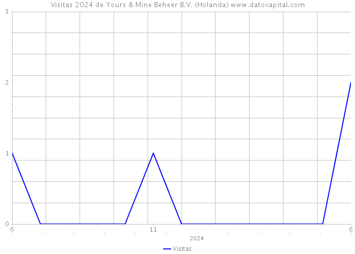 Visitas 2024 de Yours & Mine Beheer B.V. (Holanda) 