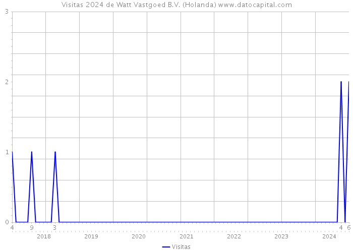 Visitas 2024 de Watt Vastgoed B.V. (Holanda) 