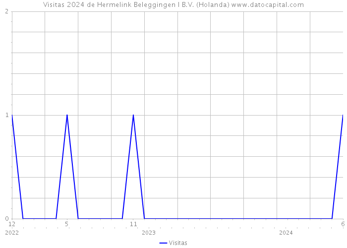 Visitas 2024 de Hermelink Beleggingen I B.V. (Holanda) 