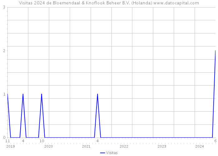 Visitas 2024 de Bloemendaal & Knoflook Beheer B.V. (Holanda) 