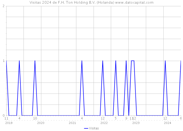 Visitas 2024 de F.H. Ton Holding B.V. (Holanda) 