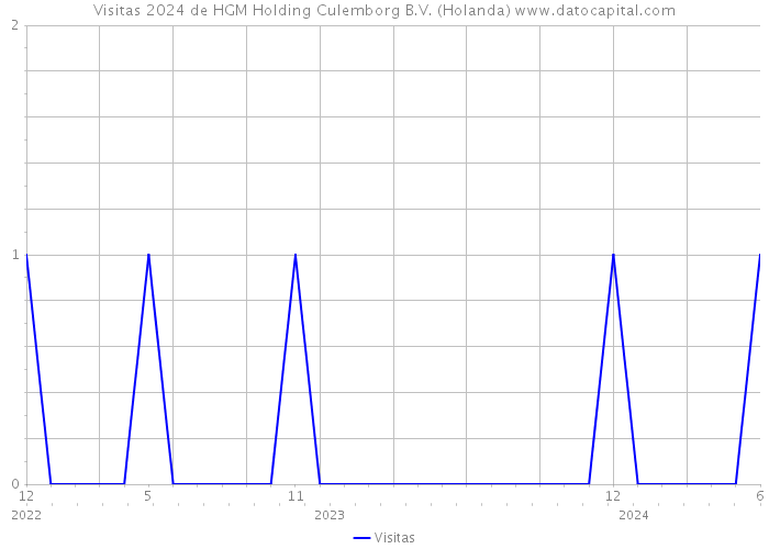 Visitas 2024 de HGM Holding Culemborg B.V. (Holanda) 