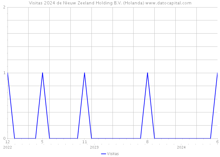 Visitas 2024 de Nieuw Zeeland Holding B.V. (Holanda) 