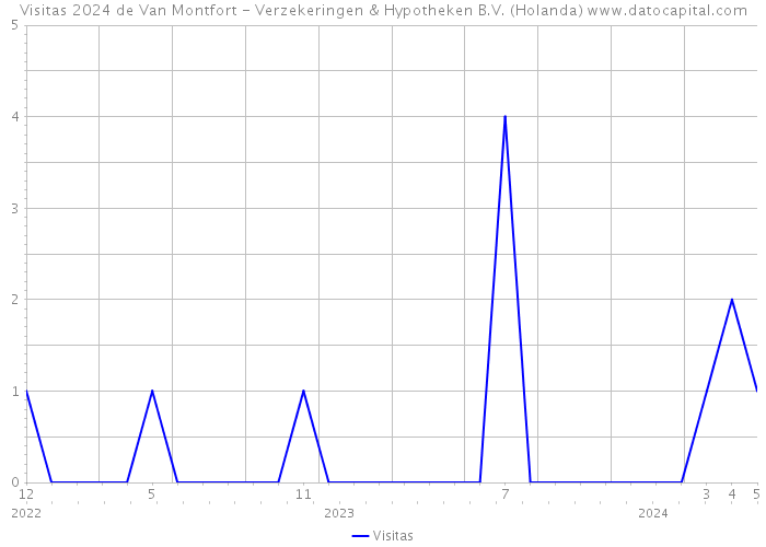 Visitas 2024 de Van Montfort - Verzekeringen & Hypotheken B.V. (Holanda) 
