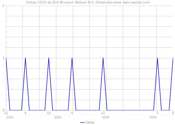 Visitas 2024 de Erik Brouwer Beheer B.V. (Holanda) 