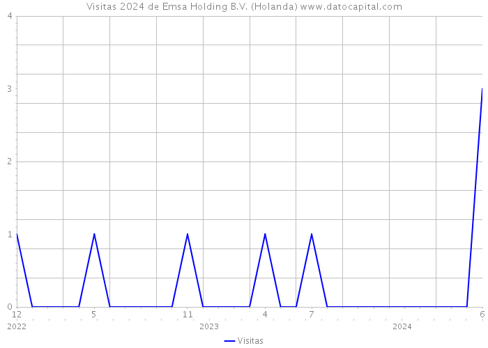 Visitas 2024 de Emsa Holding B.V. (Holanda) 