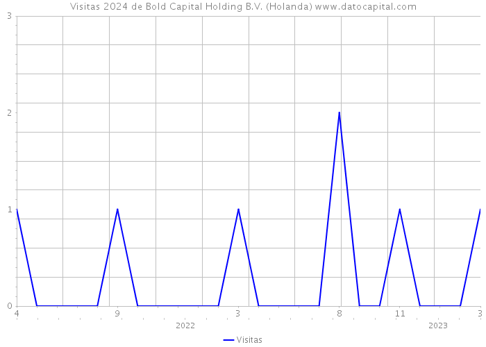 Visitas 2024 de Bold Capital Holding B.V. (Holanda) 