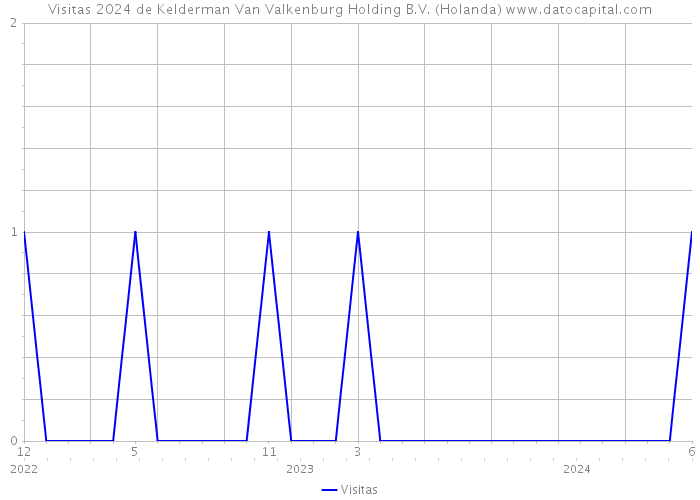 Visitas 2024 de Kelderman Van Valkenburg Holding B.V. (Holanda) 