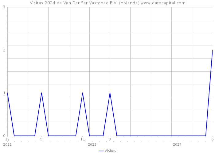 Visitas 2024 de Van Der Sar Vastgoed B.V. (Holanda) 