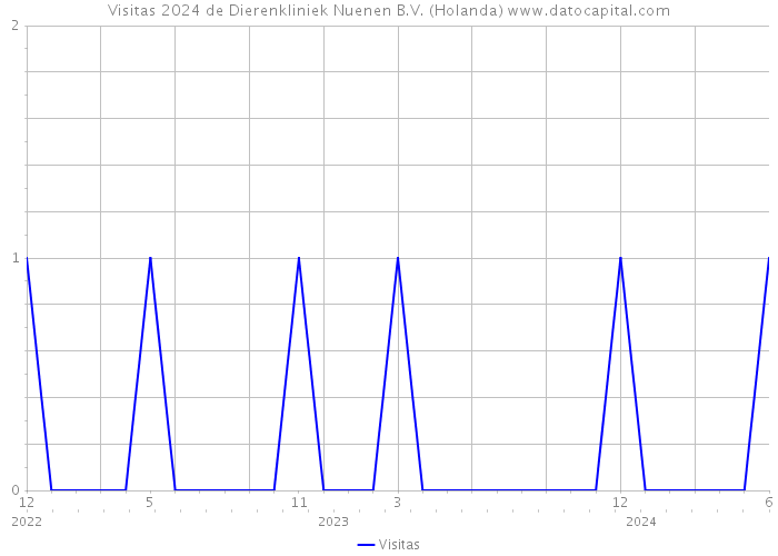 Visitas 2024 de Dierenkliniek Nuenen B.V. (Holanda) 