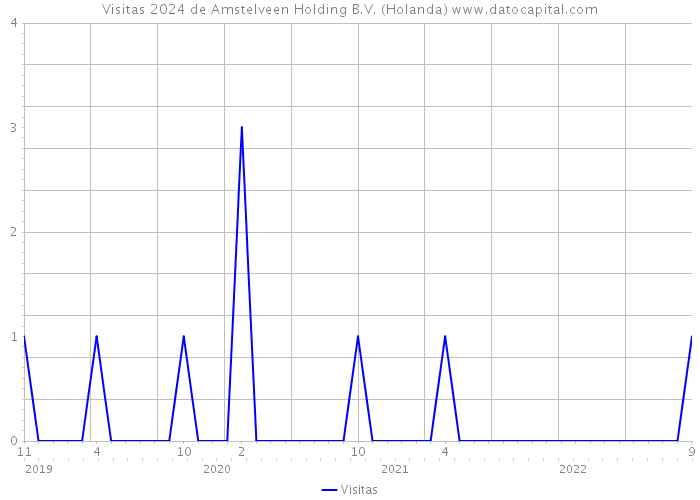 Visitas 2024 de Amstelveen Holding B.V. (Holanda) 