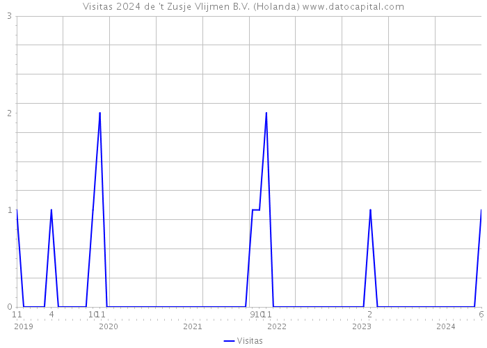 Visitas 2024 de 't Zusje Vlijmen B.V. (Holanda) 