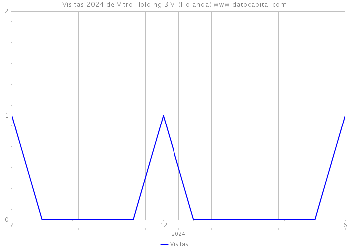 Visitas 2024 de Vitro Holding B.V. (Holanda) 