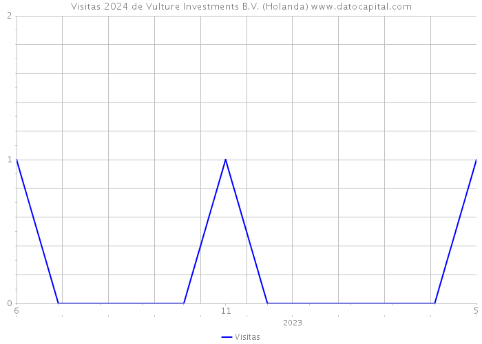Visitas 2024 de Vulture Investments B.V. (Holanda) 