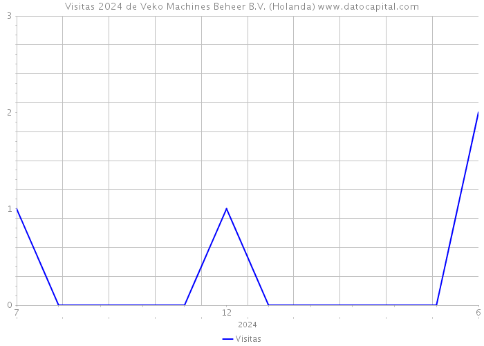 Visitas 2024 de Veko Machines Beheer B.V. (Holanda) 
