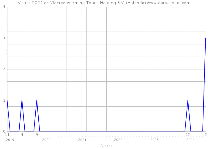 Visitas 2024 de Vloerverwarming Totaal Holding B.V. (Holanda) 
