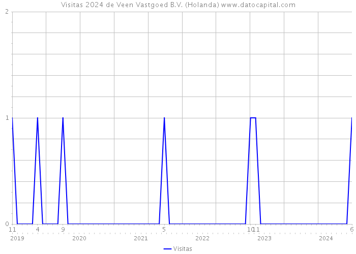 Visitas 2024 de Veen Vastgoed B.V. (Holanda) 