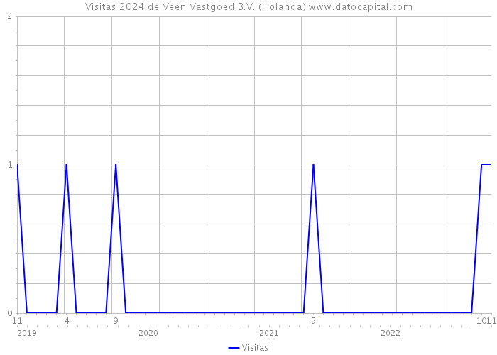 Visitas 2024 de Veen Vastgoed B.V. (Holanda) 