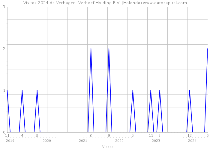 Visitas 2024 de Verhagen-Verhoef Holding B.V. (Holanda) 