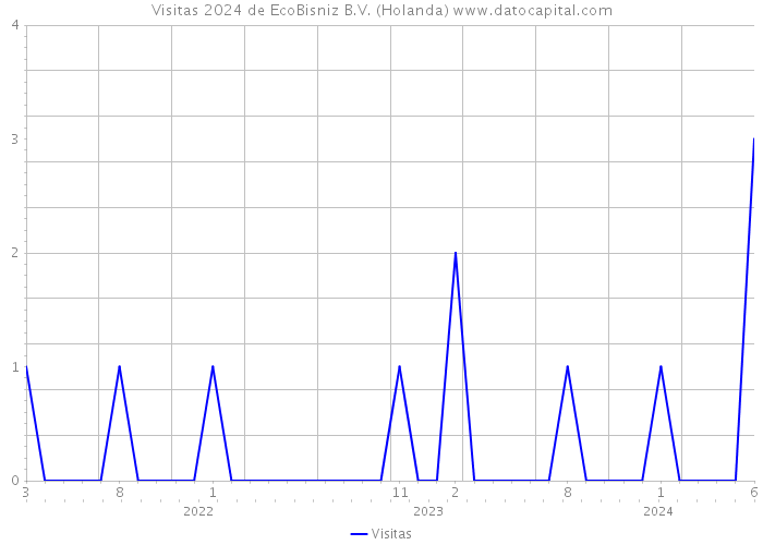 Visitas 2024 de EcoBisniz B.V. (Holanda) 