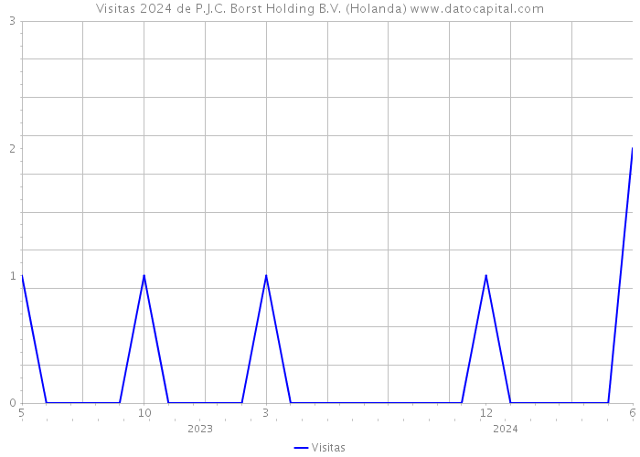 Visitas 2024 de P.J.C. Borst Holding B.V. (Holanda) 