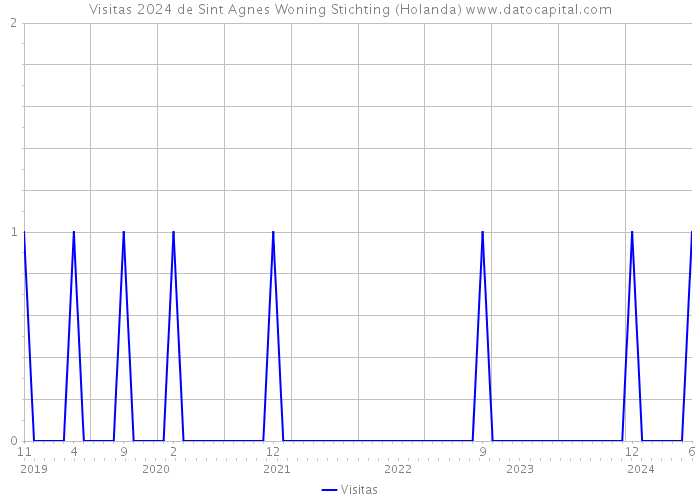 Visitas 2024 de Sint Agnes Woning Stichting (Holanda) 