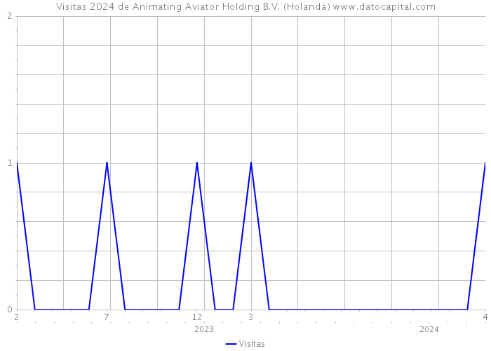 Visitas 2024 de Animating Aviator Holding B.V. (Holanda) 