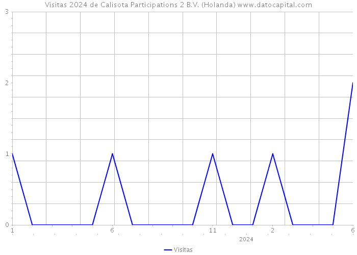 Visitas 2024 de Calisota Participations 2 B.V. (Holanda) 