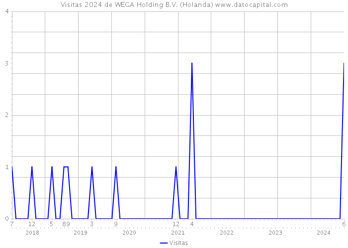 Visitas 2024 de WEGA Holding B.V. (Holanda) 