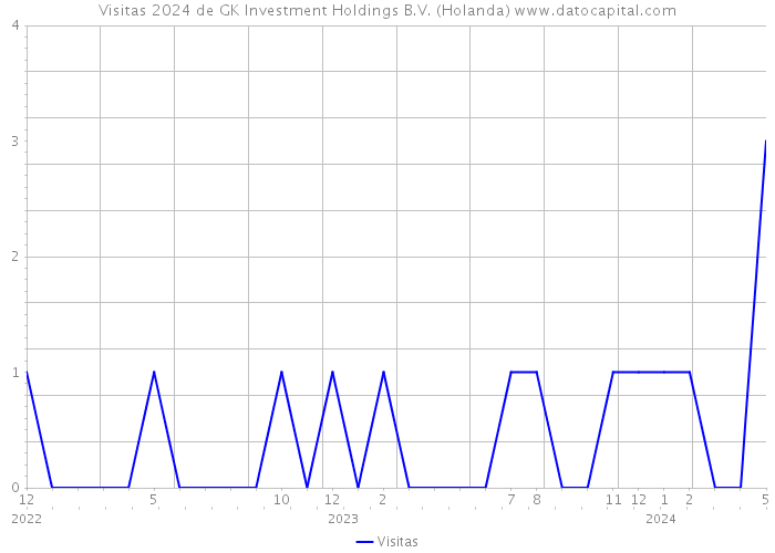 Visitas 2024 de GK Investment Holdings B.V. (Holanda) 