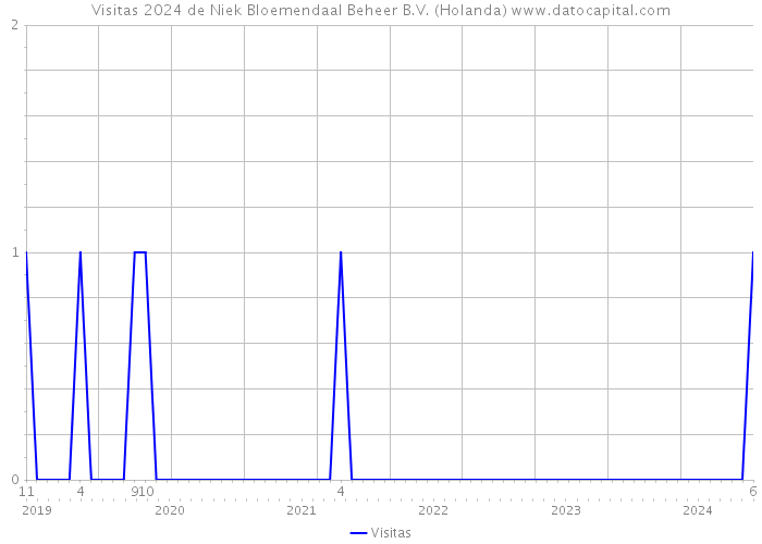 Visitas 2024 de Niek Bloemendaal Beheer B.V. (Holanda) 