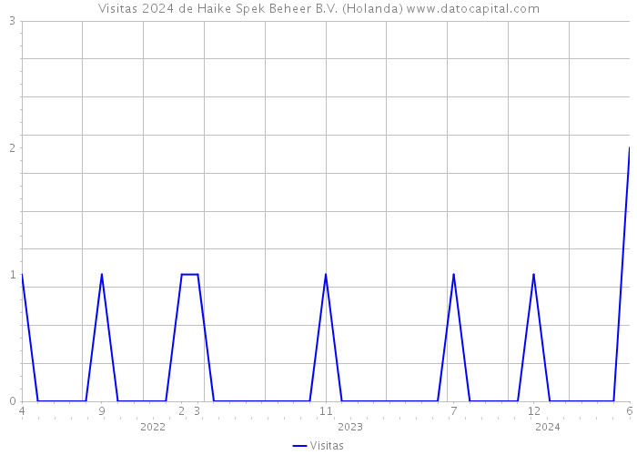 Visitas 2024 de Haike Spek Beheer B.V. (Holanda) 