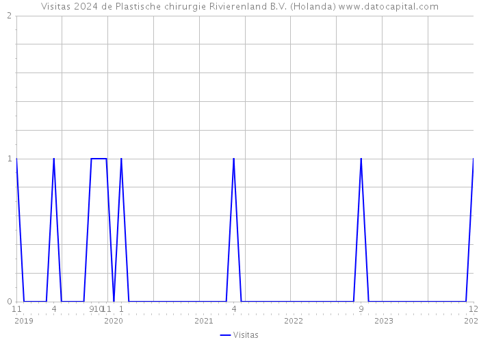 Visitas 2024 de Plastische chirurgie Rivierenland B.V. (Holanda) 