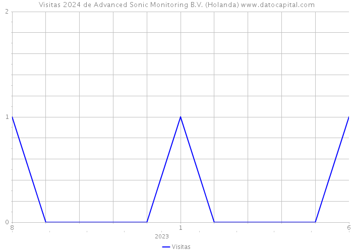 Visitas 2024 de Advanced Sonic Monitoring B.V. (Holanda) 