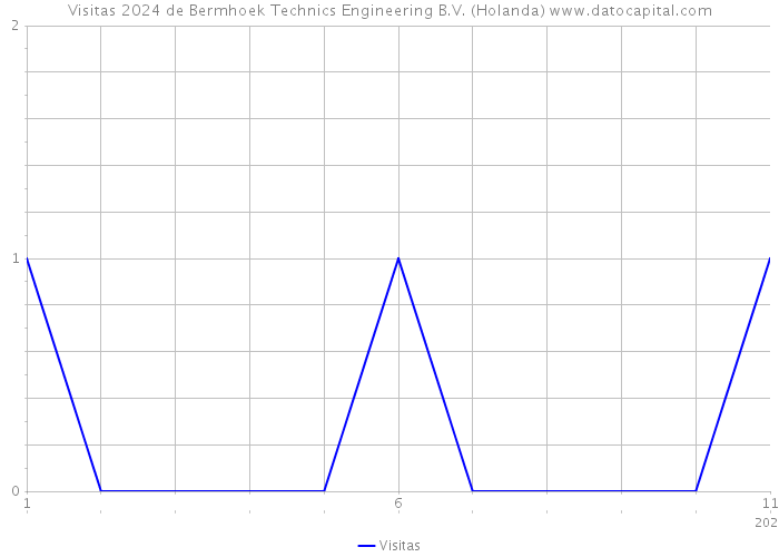 Visitas 2024 de Bermhoek Technics Engineering B.V. (Holanda) 