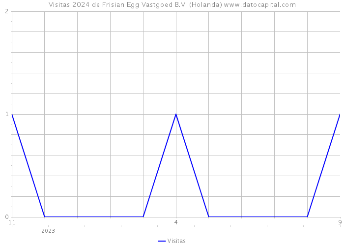 Visitas 2024 de Frisian Egg Vastgoed B.V. (Holanda) 