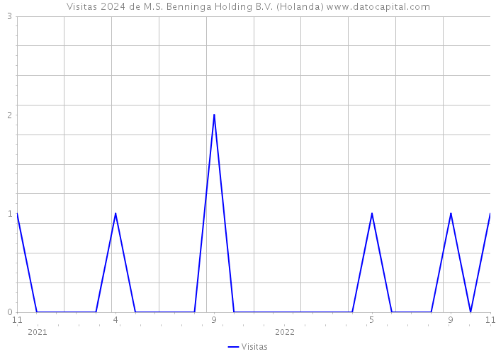Visitas 2024 de M.S. Benninga Holding B.V. (Holanda) 