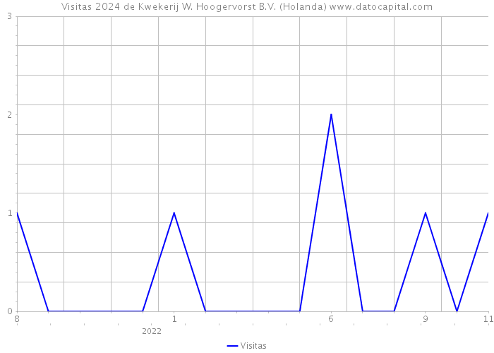 Visitas 2024 de Kwekerij W. Hoogervorst B.V. (Holanda) 