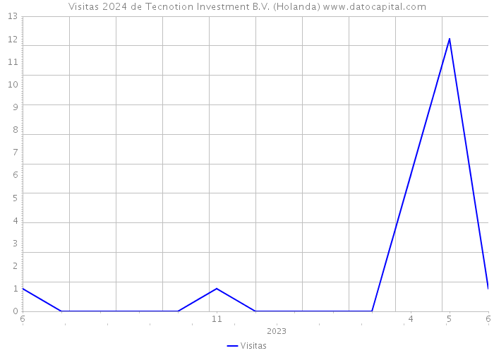 Visitas 2024 de Tecnotion Investment B.V. (Holanda) 