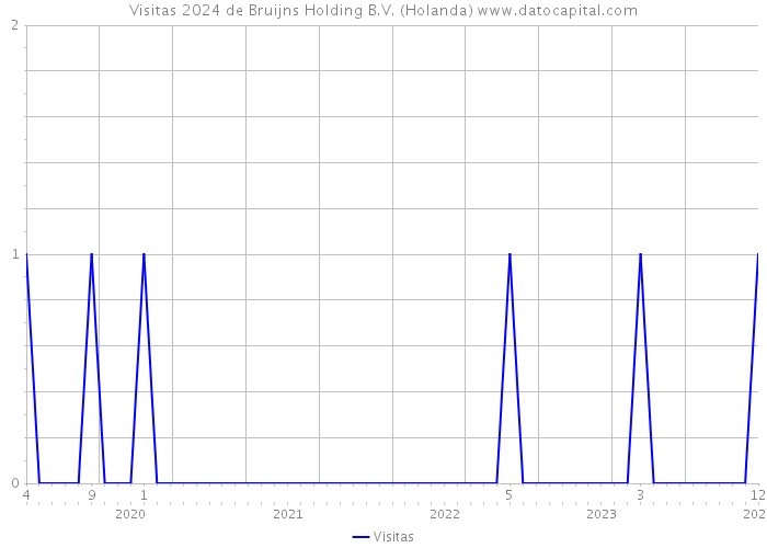 Visitas 2024 de Bruijns Holding B.V. (Holanda) 