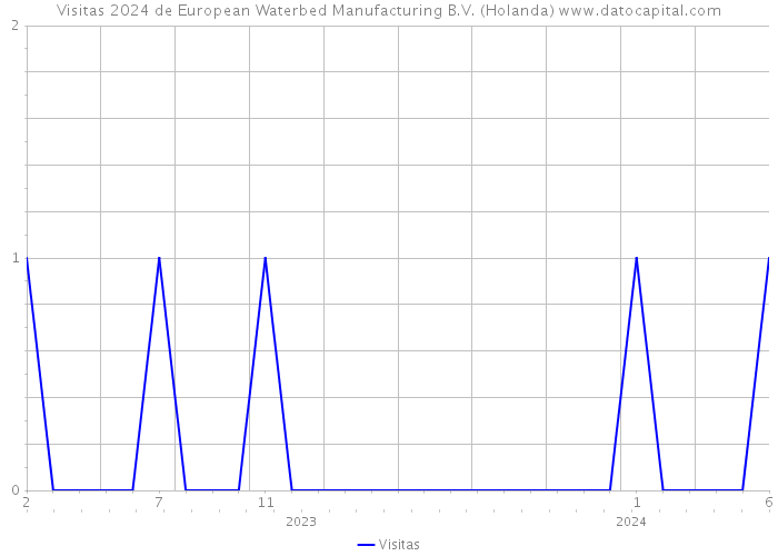 Visitas 2024 de European Waterbed Manufacturing B.V. (Holanda) 