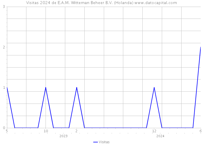 Visitas 2024 de E.A.M. Witteman Beheer B.V. (Holanda) 