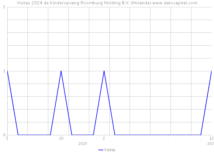 Visitas 2024 de Kinderopvang Roomburg Holding B.V. (Holanda) 
