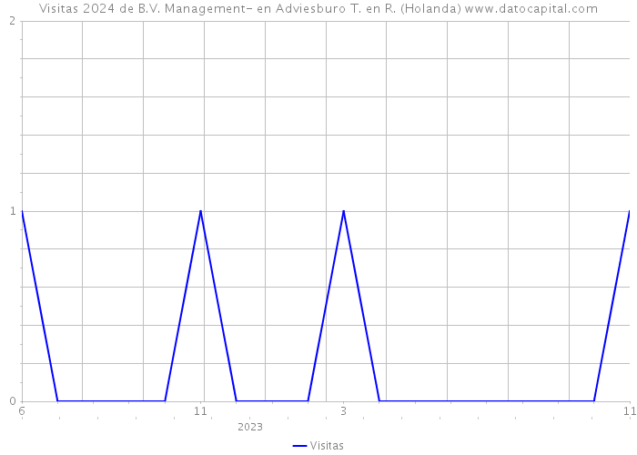 Visitas 2024 de B.V. Management- en Adviesburo T. en R. (Holanda) 