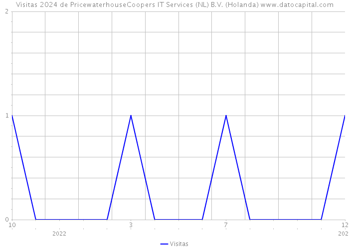 Visitas 2024 de PricewaterhouseCoopers IT Services (NL) B.V. (Holanda) 