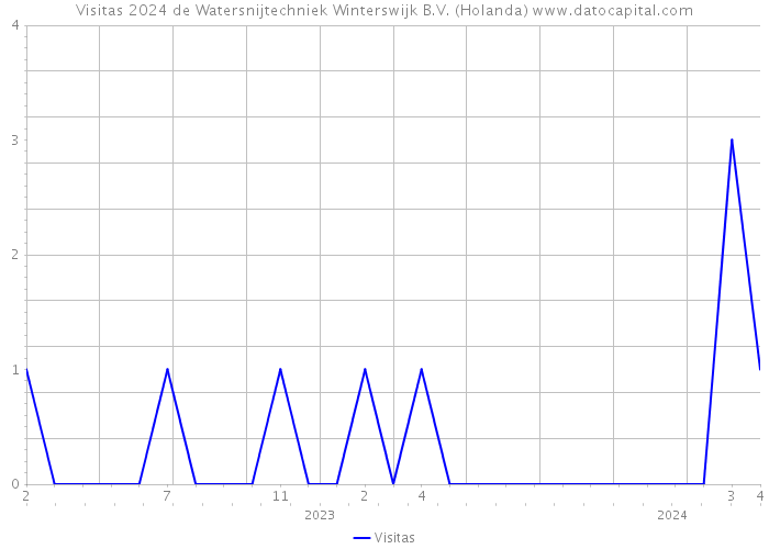 Visitas 2024 de Watersnijtechniek Winterswijk B.V. (Holanda) 