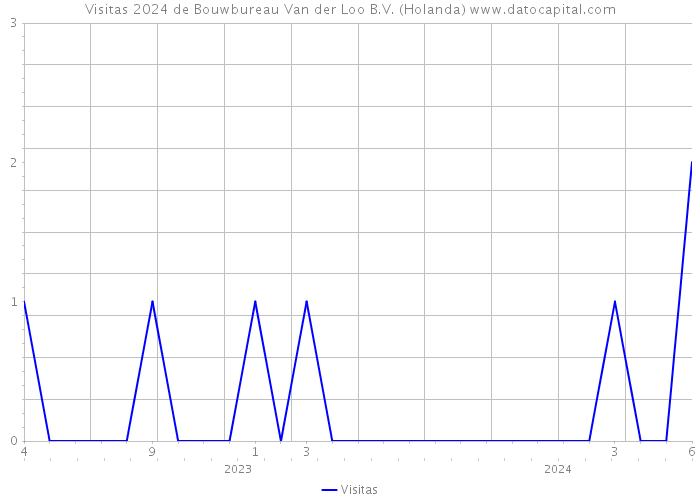 Visitas 2024 de Bouwbureau Van der Loo B.V. (Holanda) 