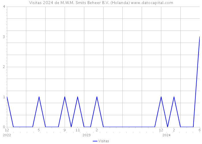 Visitas 2024 de M.W.M. Smits Beheer B.V. (Holanda) 