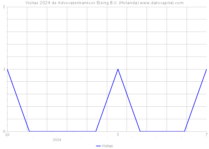 Visitas 2024 de Advocatenkantoor Eising B.V. (Holanda) 